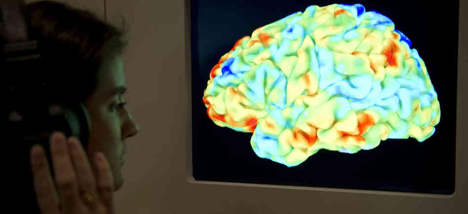 A visitor to the Wellcome Collection's 2012 exhibition "Brains: The mind as matter" looks at a functional magnetic resonance image (fMRI) showing a human brain as it listens to Stravinsky's "Rite of Spring" and Kant's third Critique.