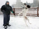 This dog likes snow: In Minneapolis on Sunday, Adam Womersley and his English Springer Spaniel, Stella, had some fun out in the winter weather. This dog likes snow: In Minneapolis on Sunday, Adam Womersley and his English Springer Spaniel, Stella, had some fun out in the winter weather.