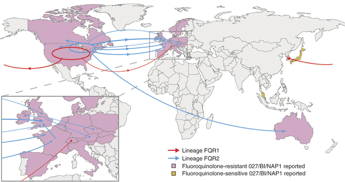 Over the past decade, two highly virulent strains of Clostridium difficile have traveled from North America to Europe, Asia and Australia.