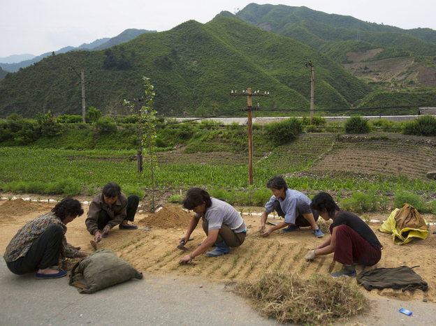 North Korean women work on a roadside in North Pyongan province, North Korea, in June. North Korea increased its staple foods production for the second year in a row, but its citizens are still suffering from a serious lack of key proteins and fats in their diets, a U.N. report says.