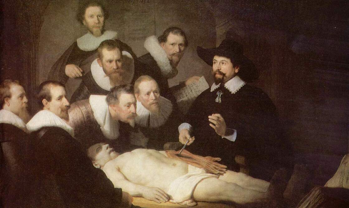 An autopsy helps medical students learn human anatomy in Rembrandt's painting The Anatomy Lesson of Dr. Nicolaes Tulp from 1632.