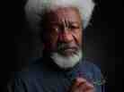 Nigerian Nobel laureate Wole Soyinka.