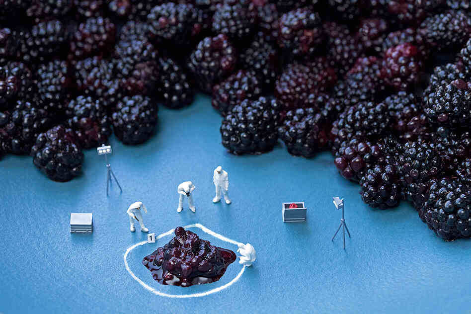 Blackberry C.S.I.: "If they'd only realized that the killer was right there in the crowd."