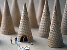 "When I was young the cones were so big you could drive a car through them." "When I was young the cones were so big you could drive a car through them."