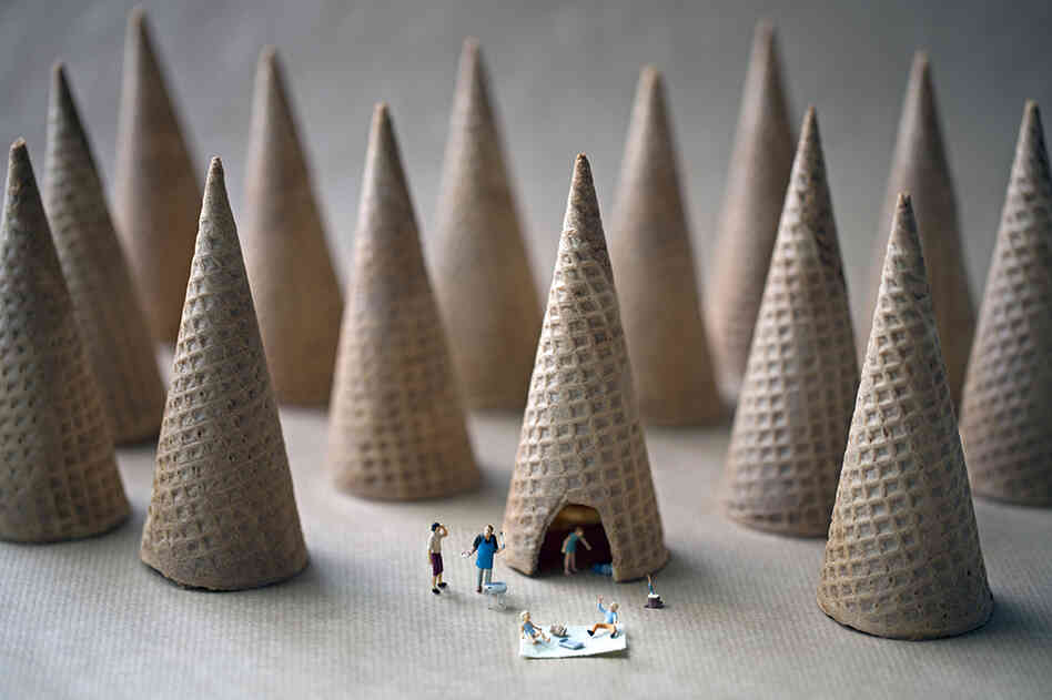 "When I was young the cones were so big you could drive a car through them." "When I was young the cones were so big you could drive a car through them."