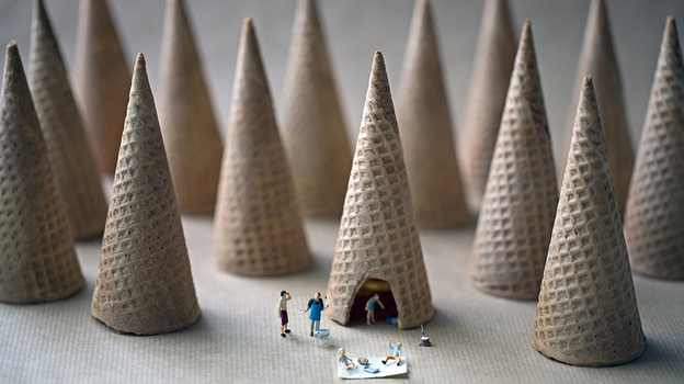"When I was young the cones were so big you could drive a car through them." (Christopher Boffoli)