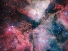 Enjoy it while you can: the spectacular star-forming Carina Nebula has been captured in great detail by the VLT Survey Telescope at the ESO's Paranal Observatory. Enjoy it while you can: the spectacular star-forming Carina Nebula has been captured in great detail by the VLT Survey Telescope at the ESO's Paranal Observatory.