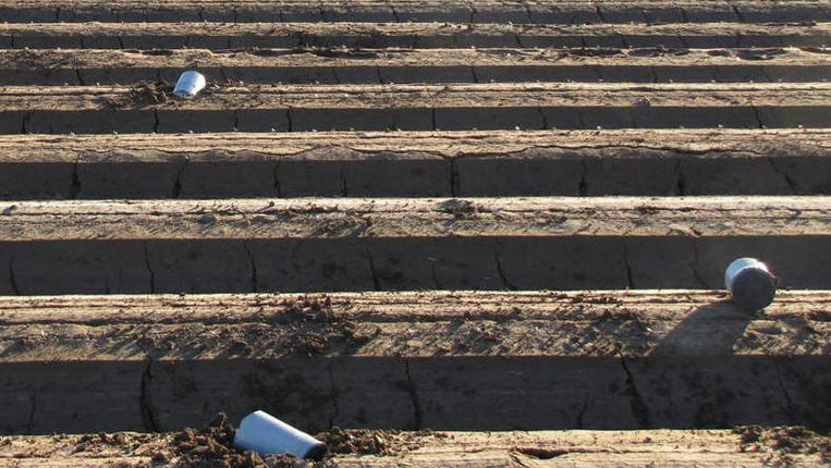 They flew in from Mexico: Cans of marijuana found in a field near Yuma, Ariz. They flew in from Mexico: Cans of marijuana found in a field near Yuma, Ariz.