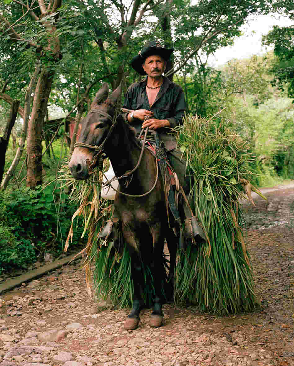 Don Antonio, a farmer and resident of Valle Nuevo, El Salvador.