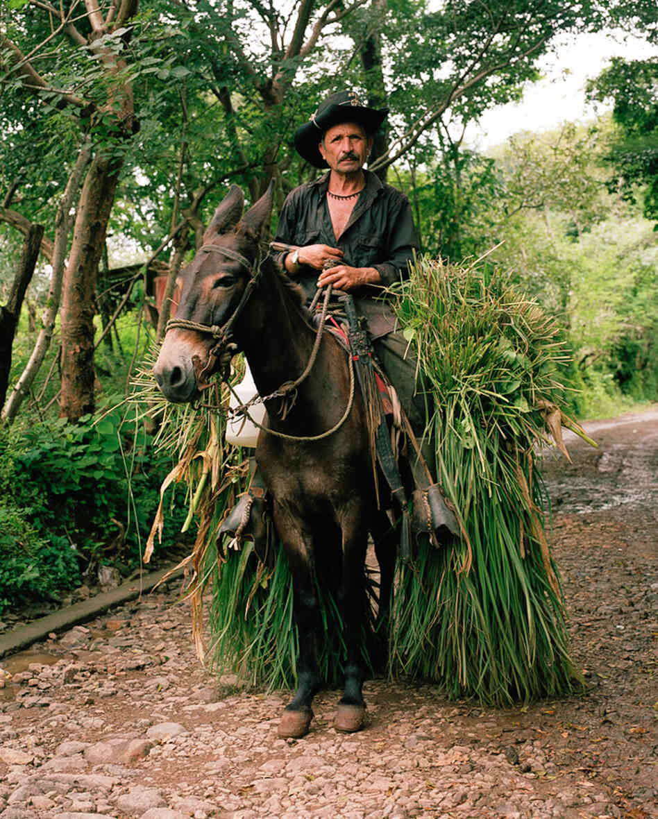 Don Antonio, a farmer and resident of Valle Nuevo, El Salvador.