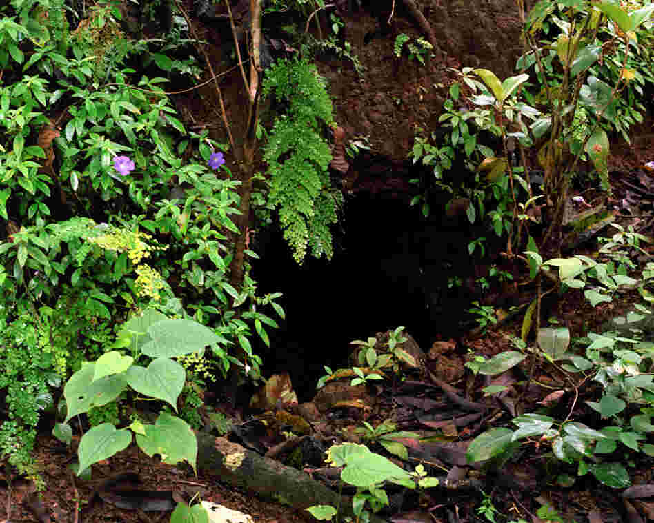A cave that families hid in during the war.