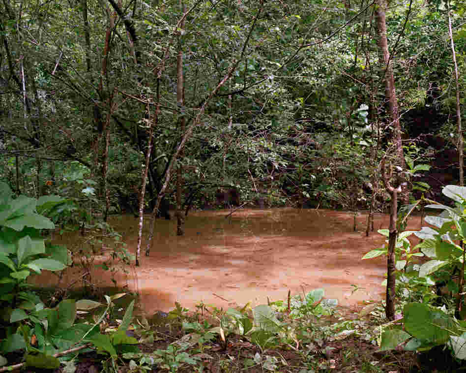 A bomb crater that remains from the civil war fills with water during the rainy season.