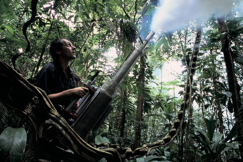 Jurgen Schmidl fogs the forest understory with insecticide to help in the collection of specimens.