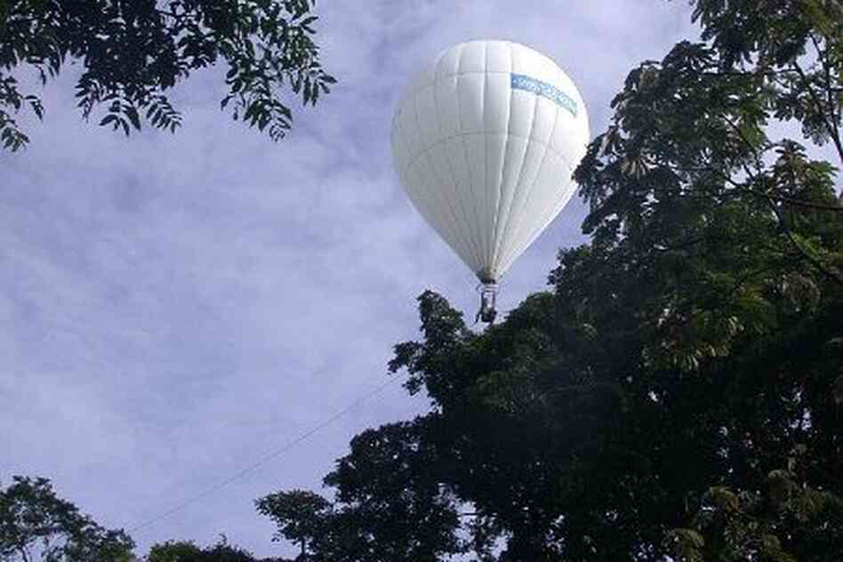 Researchers also used a hot air balloon-style system to collect arthropods from thie top of the forest canopy.