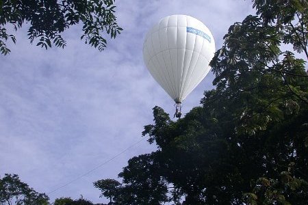 Researchers also used a hot air balloon-style system to collect arthropods from thie top of the forest canopy.