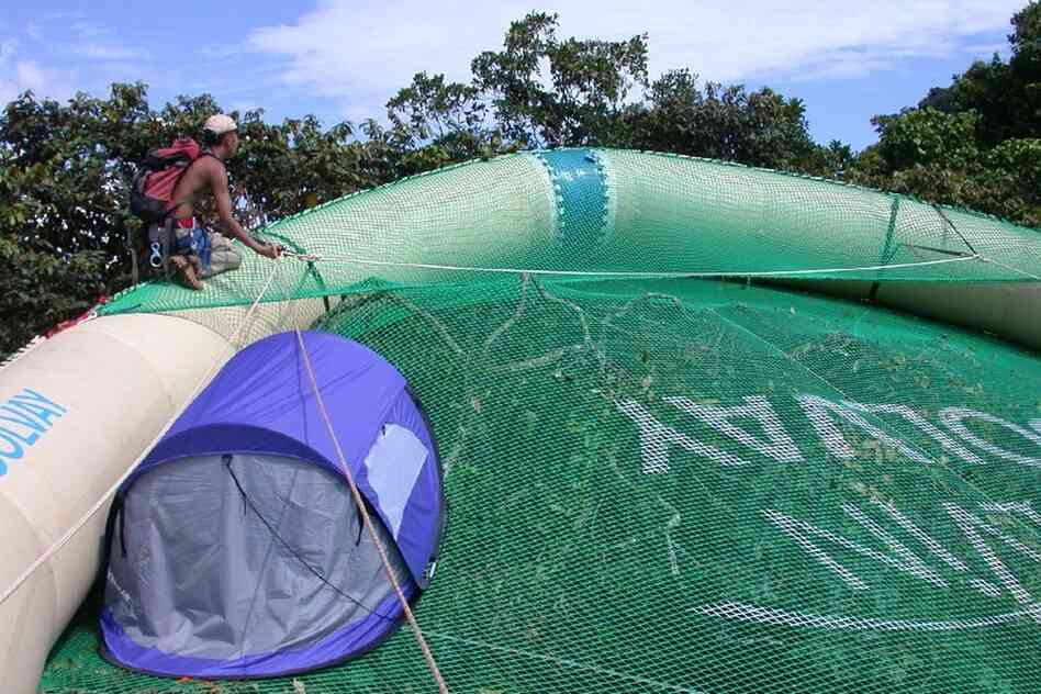 Researchers used the canopy, which in some places was as much as 13 stories above the forest floor, to collect insects.
