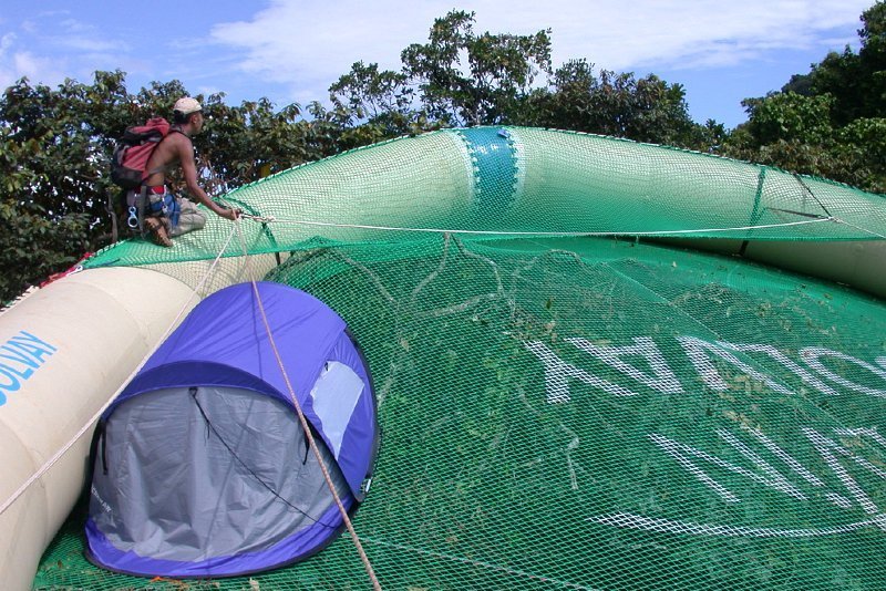 Researchers used the canopy, which in some places was as much as 13 stories above the forest floor, to collect insects.