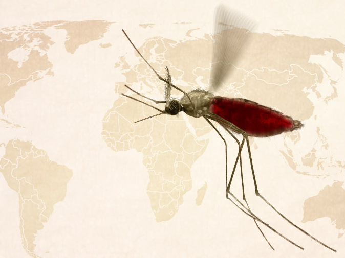 Herbs And Empires: A Brief, Animated History Of Malaria Drugs