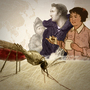 A second promo image for the malaria animation post. A second promo image for the malaria animation post.
