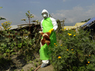 A prefectural officer carries a chicken on a poultry farm on Oct. 15 on the outskirts of Kathmandu, Nepal, where chickens suspected of being infected with bird flu were found. A prefectural officer carries a chicken on a poultry farm on Oct. 15 on the outskirts of Kathmandu, Nepal, where chickens suspected of being infected with bird flu were found.