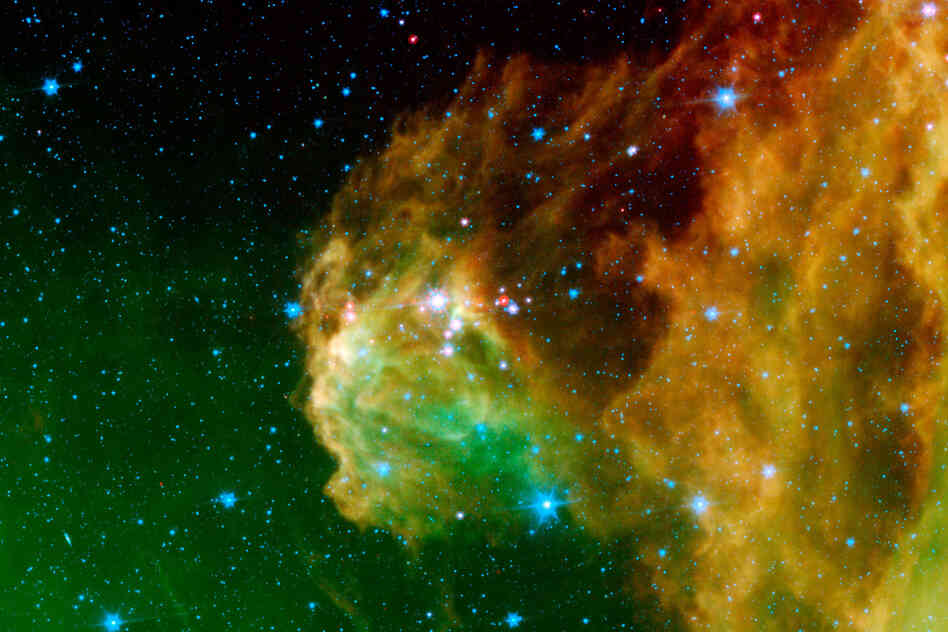 "Infant stars 'hatching' in the head of the ... constellation Orion."