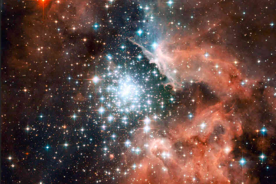 "Thousands of sparkling young stars are nestled within the giant nebula NGC 3603, one of the most massive young star clusters in the Milky Way Galaxy."
