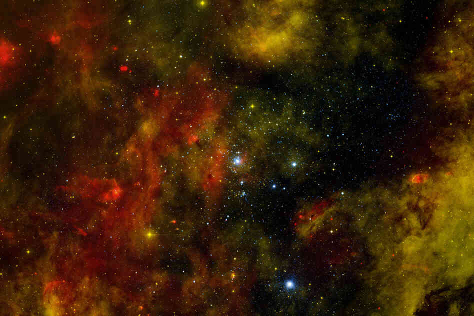 The star cluster Cygnus OB2, home to many young stars.