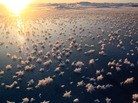 Frost flowers in the central Arctic Ocean. Frost flowers in the central Arctic Ocean.