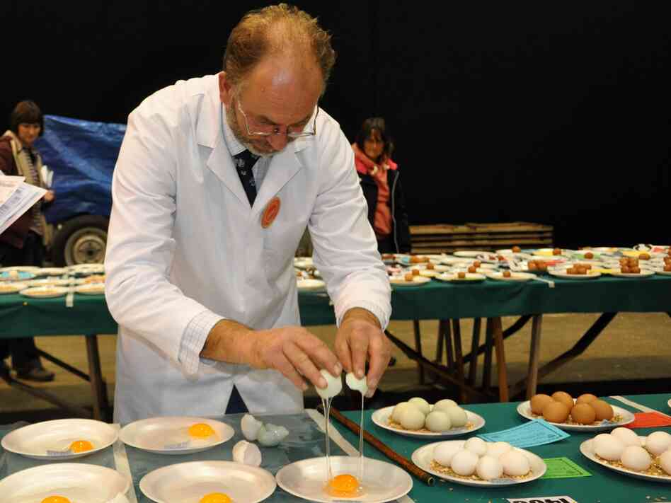 Egg judge