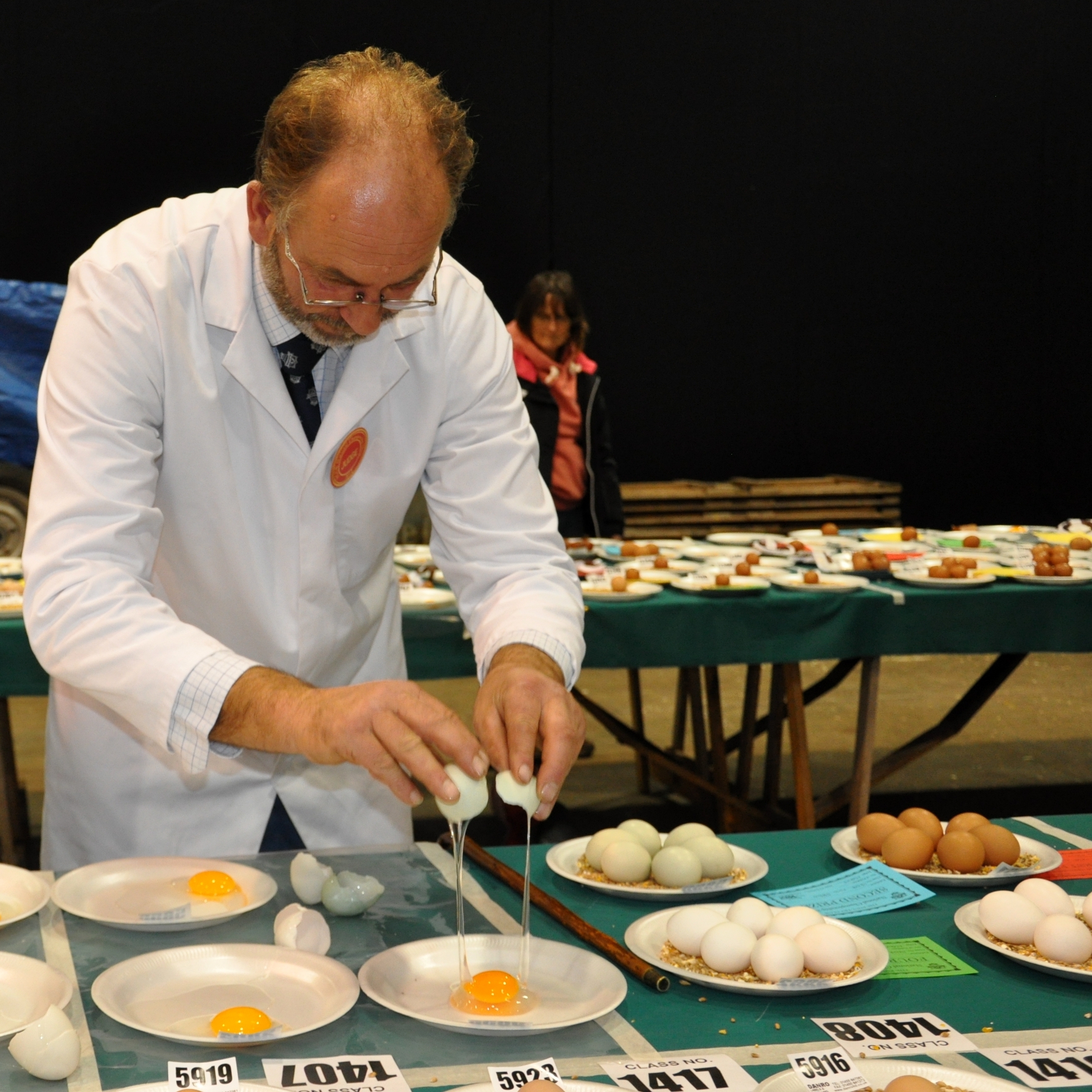 Egg judge