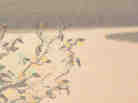 cover image from The River Swimmer