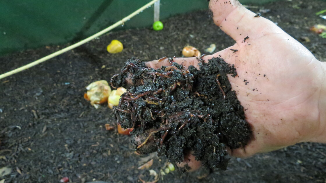 Charlotte Douglas International Airport has deployed an army of 1.9 million worms to eat through its organic waste. The airport has reduced the trash it sends to the landfill by 70 percent.