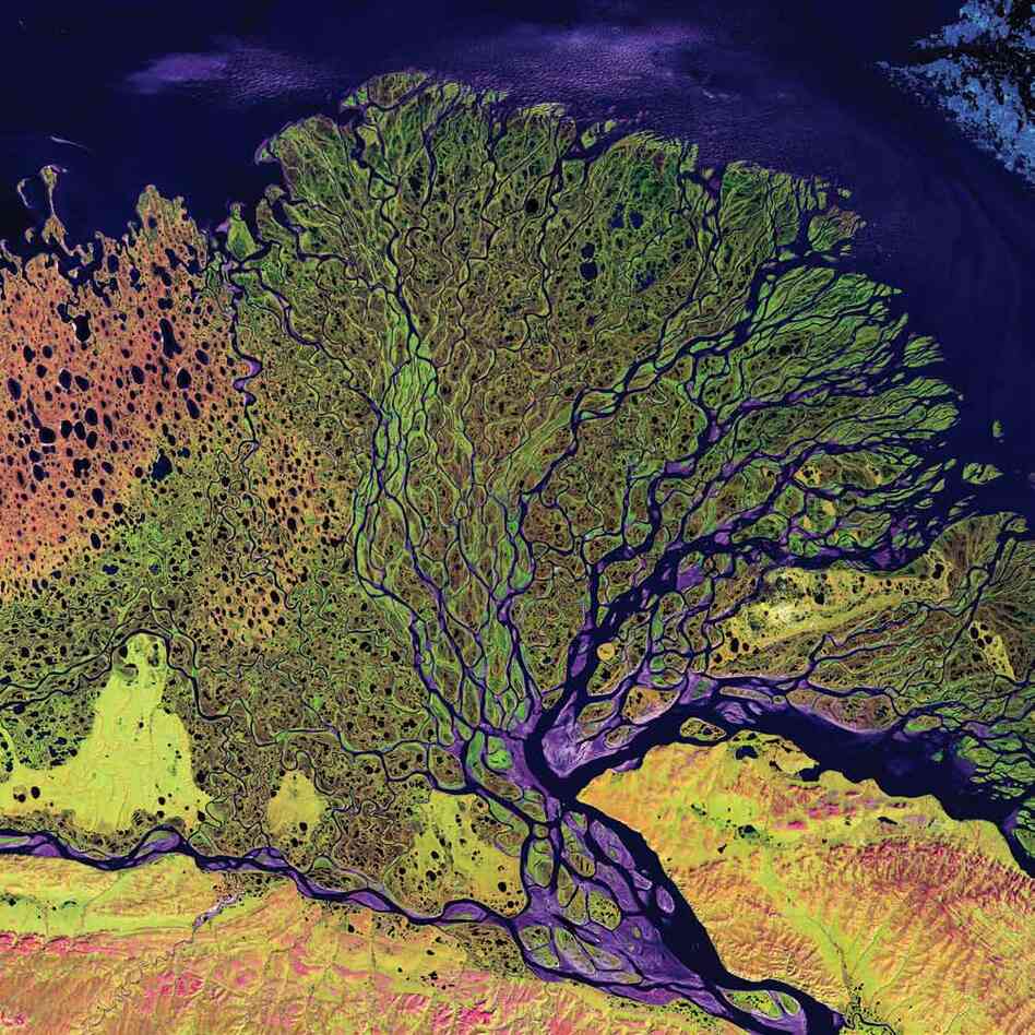 Lena River Delta, Russia, 2000The Delta extends 62 miles into the Laptev Sea and Arctic Ocean, and includes a protected wilderness area and wildlife refuge. The delta is frozen tundra for about seven months of the year, and spring transforms it into a lush wetland. Vegetation appears as shades of green, sandy areas as shades of red, and water as purples and blues.