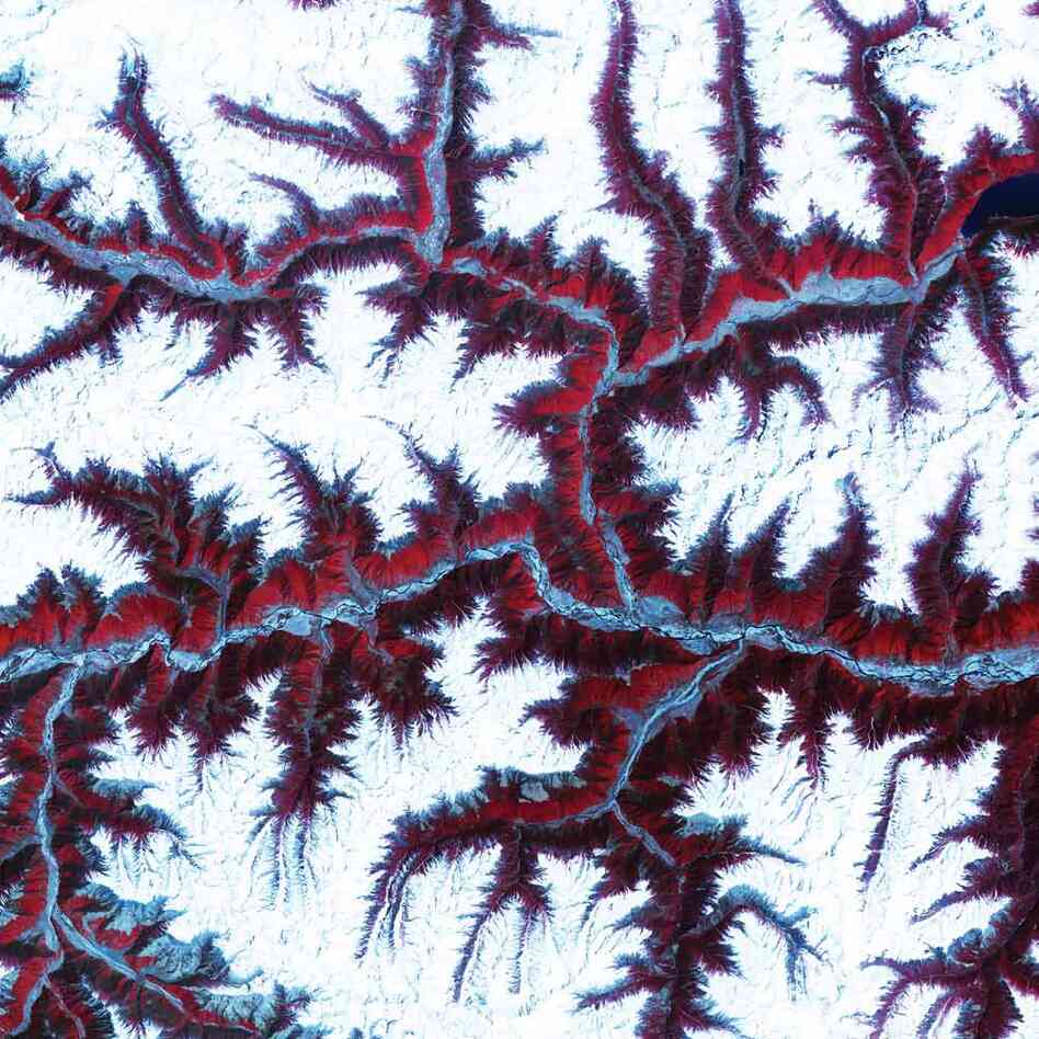 Himalayas, Central Asia, 2001The soaring, snow-capped peaks and ridges of the eastern Himalaya Mountains create an irregular patchwork between major rivers in Tibet and southwestern China. Covered by snow and glaciers, the mountains here rise to altitudes of more than 16,000 feet. Vegetation at lower elevations is colored red.