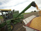 Farmer Randy Dreher unloads corn from his combine during harvest north of Audubon, Iowa. Farm exports are booming and high global prices are helping growers despite the U.S. drought. Farmer Randy Dreher unloads corn from his combine during harvest north of Audubon, Iowa. Farm exports are booming and high global prices are helping growers despite the U.S. drought.