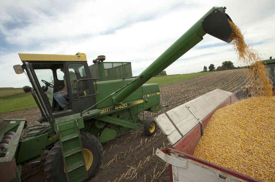 Farmer Randy Dreher unloads corn from his combine during harvest north of Audubon, Iowa. Farm exports are booming and high global prices are helping growers despite the U.S. drought.