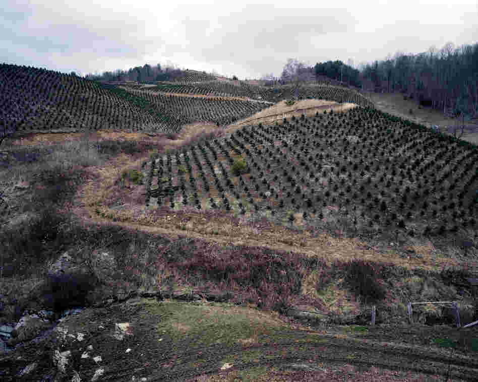 McKinney Hollow, Carter County, Tenn., 2011