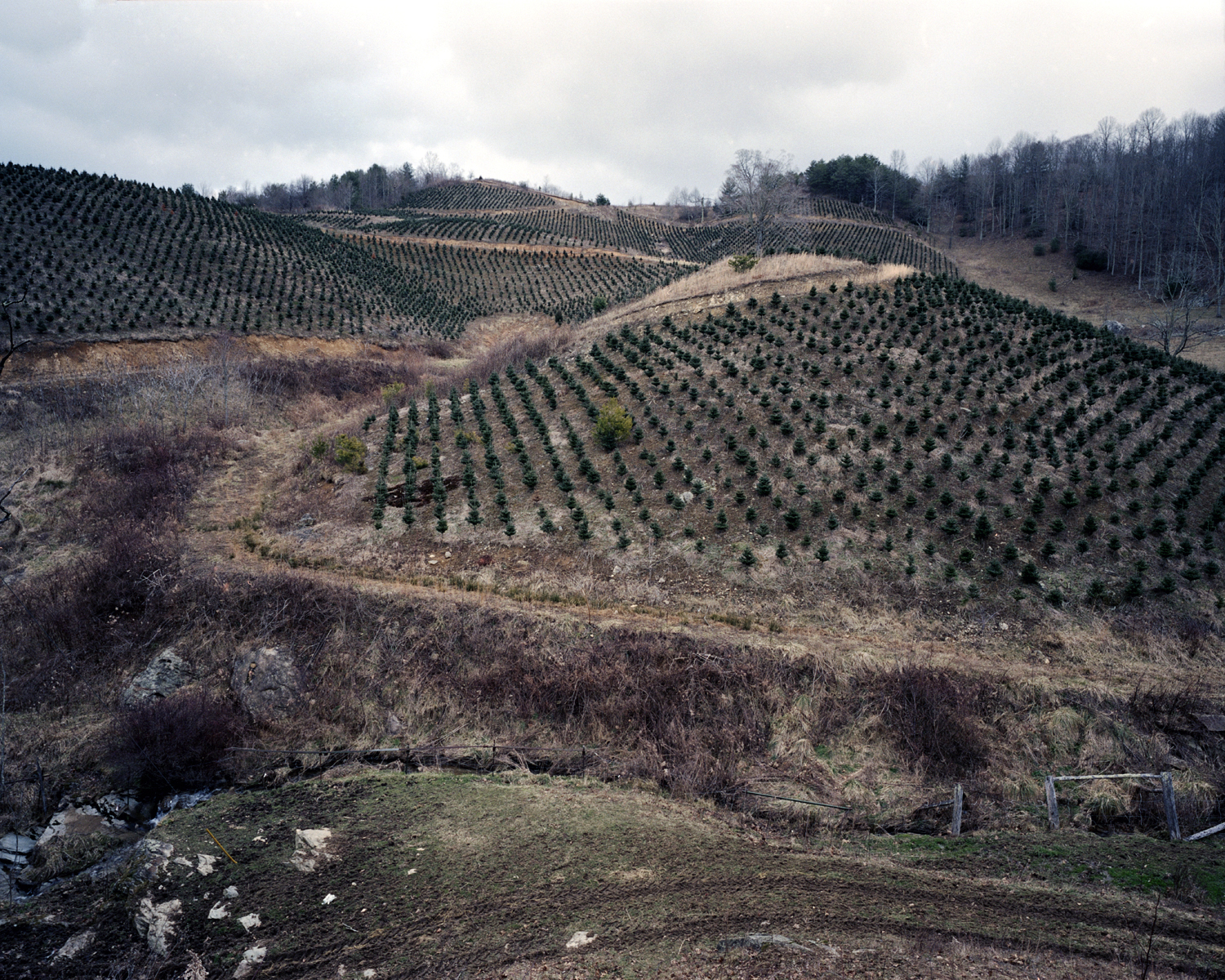 McKinney Hollow, Carter County, Tenn., 2011