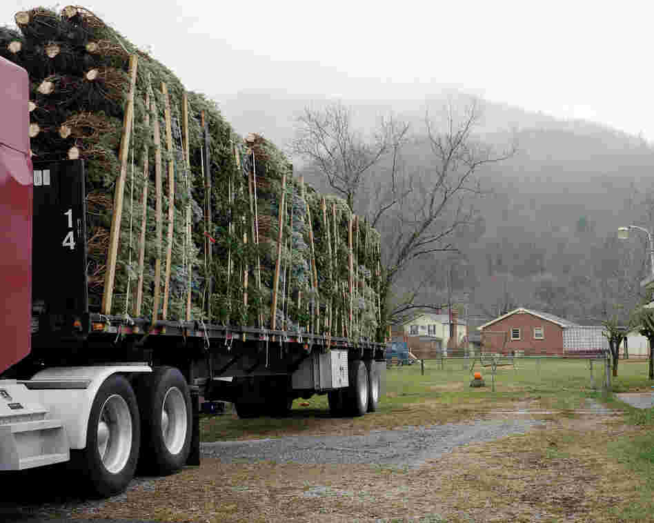 Hampton, Carter County, Tenn., 2011