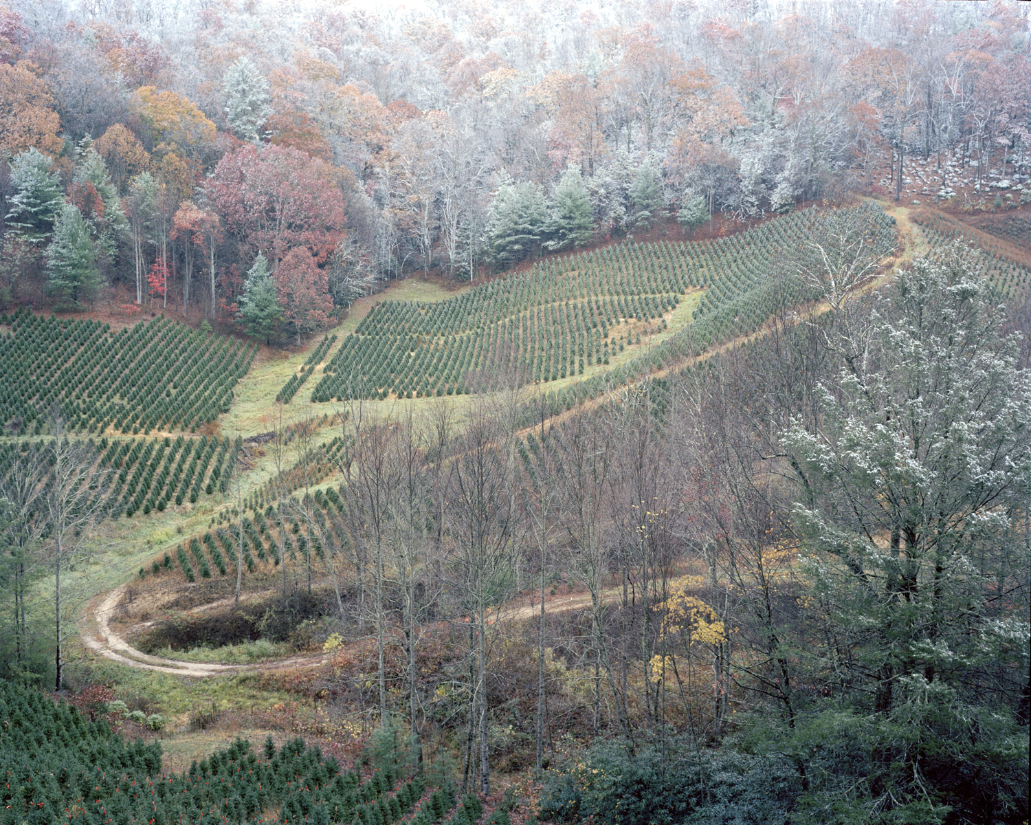 Hughes Gap, Roan Mountain, Tenn., 2011