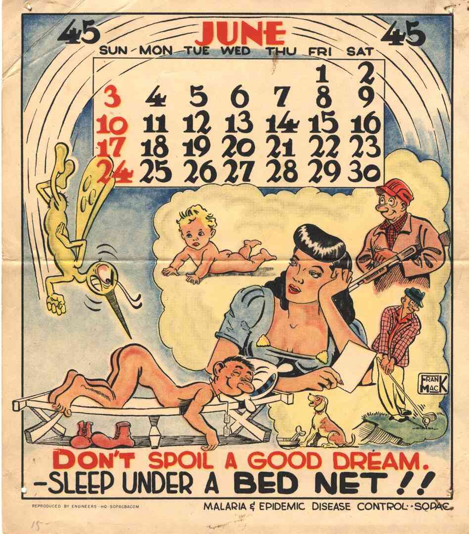 While the Office of Malaria Control in War Areas focused on stopping malaria in the U.S. during War World II, the U.S. Army launched an aggressive campaign to combat the parasite among troops. In 1945, it distributed a monthly pinup calendar to soldiers in the Pacific, encouraging them to use bug repellent, sleep under bed nets and cover up.