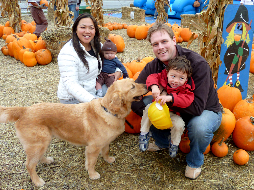 Jennie and Kristian Aspelin pose in a pumpkin patch with their children two weeks before three-month-old Johan died.