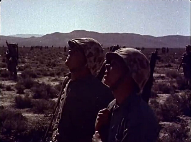 Two soldiers