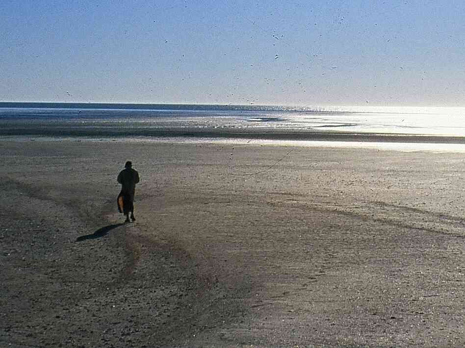 Craig Childs walks in the desert surrounding the Colorado River delta.