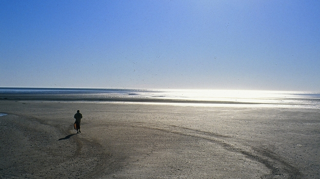 Craig Childs walks in the desert surrounding the Colorado River delta. (Courtesy of Craig Childs)
