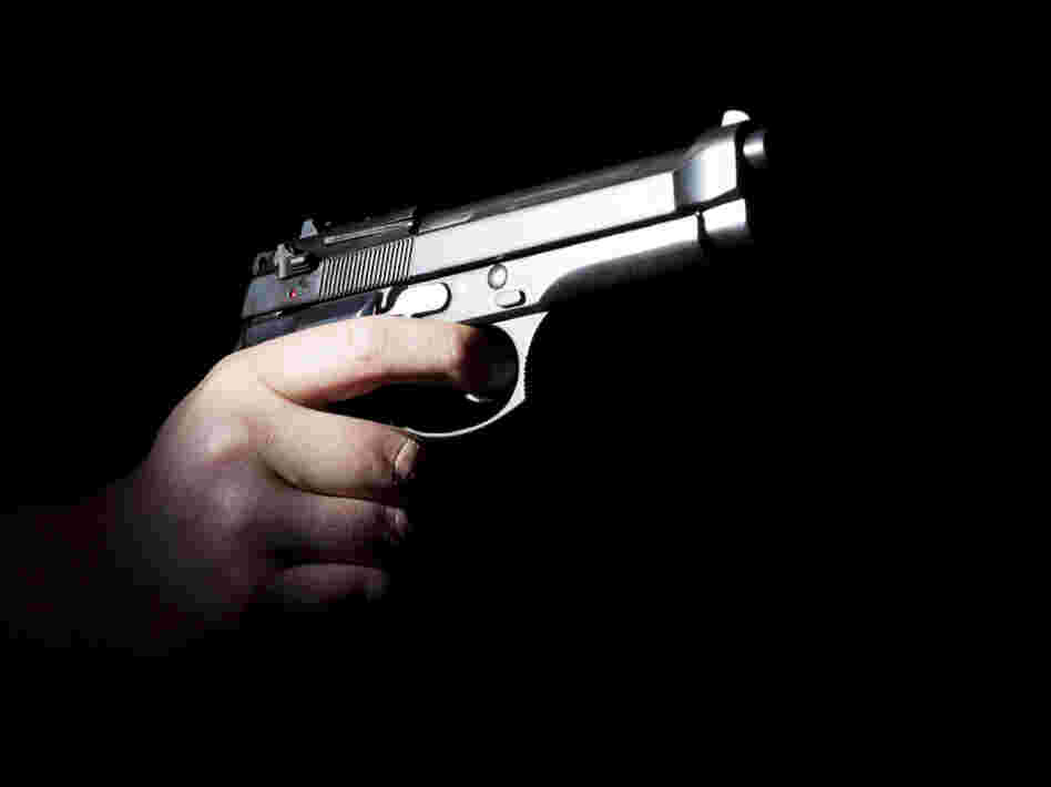 According to Tom Diaz of the Violence Policy Center, more people in the United States die every year from gun-related incidents than have been killed in all terrorist attacks worldwide since the 1960s.