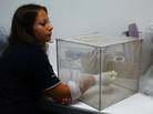 Chiara Andolina, a malaria researcher in Thailand, feeds her mosquito colony by letting the insects bite her right arm. These mosquitoes are picky and will dine only on live human blood. Chiara Andolina, a malaria researcher in Thailand, feeds her mosquito colony by letting the insects bite her right arm. These mosquitoes are picky and will dine only on live human blood.