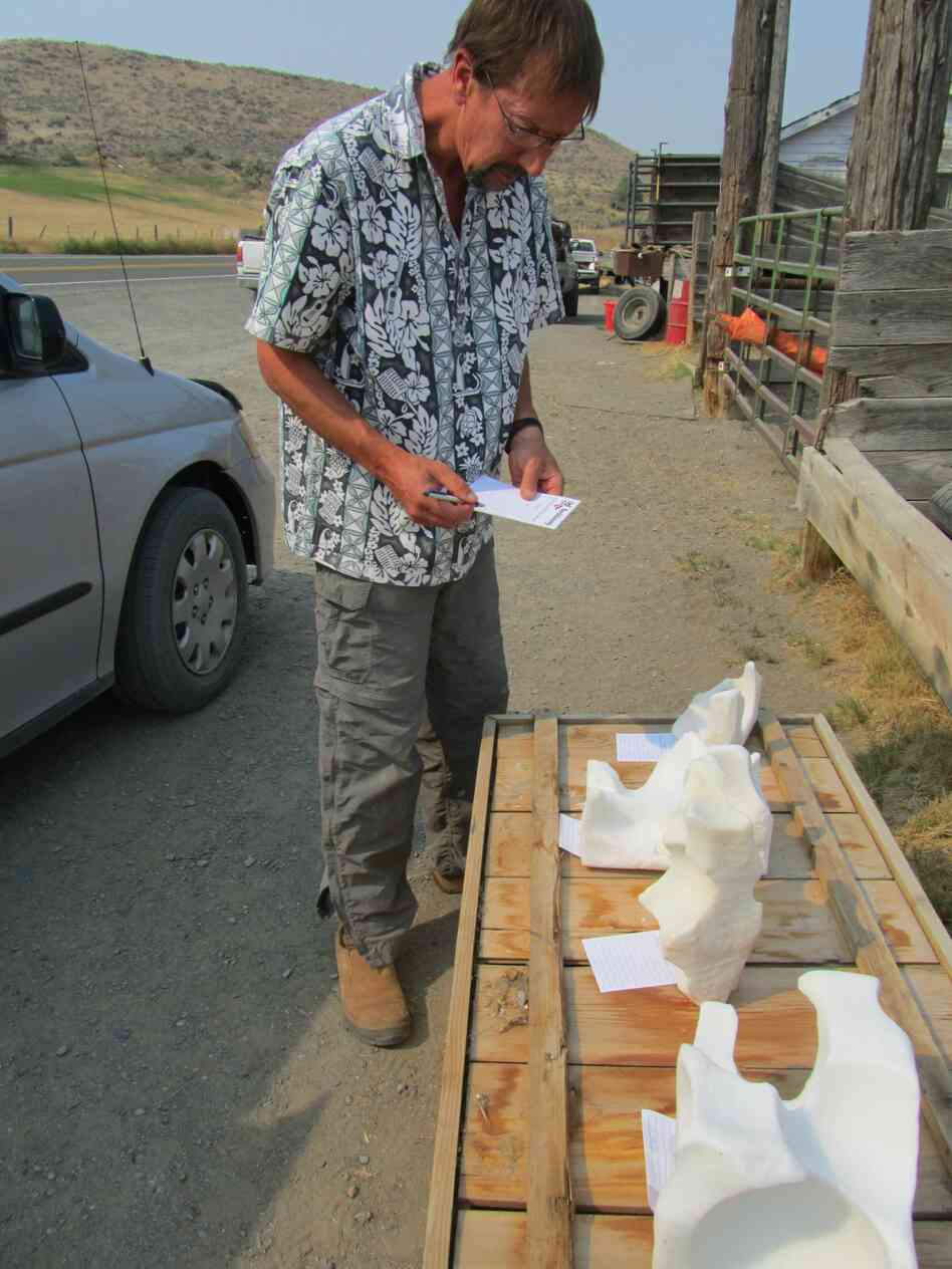 Organizer Whit Deschner examines four licks left for him by a local rancher.
