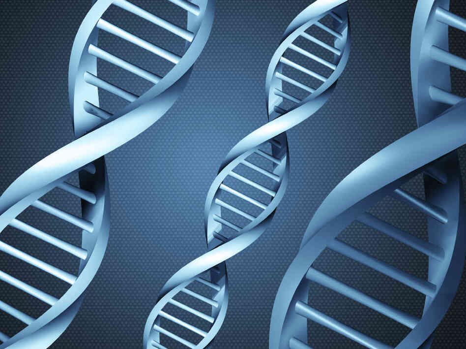 A person's DNA can say a lot about a person, but not why someone has committed a horrific crime like mass murder.
