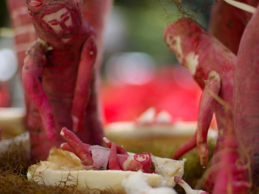 A radish nativity scene. A radish nativity scene.